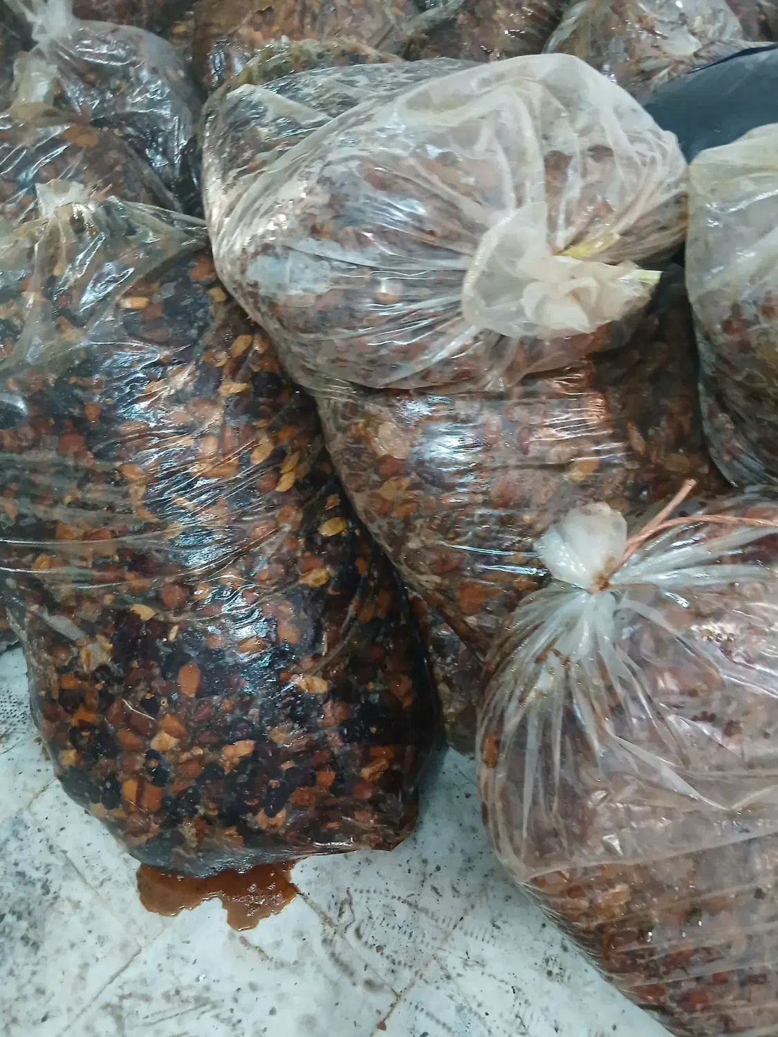 خرما|حراج|خمینی‌شهر, |دیوار