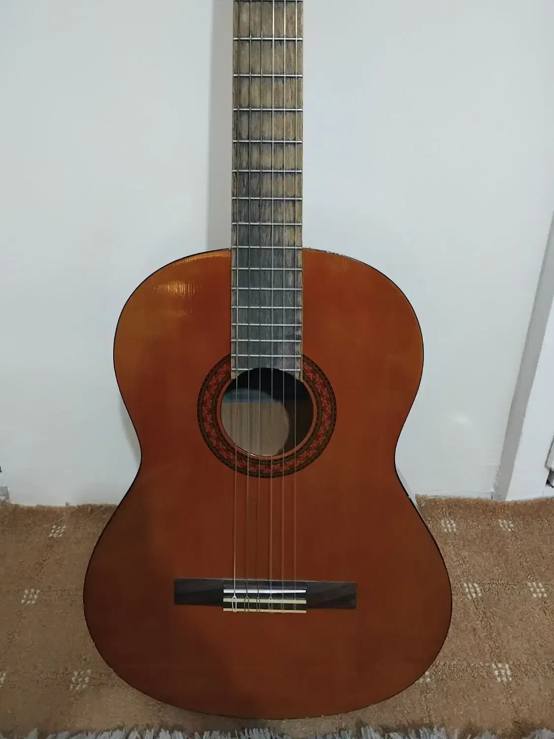 گیتار c40|گیتار، بیس، امپلیفایر|همدان, |دیوار