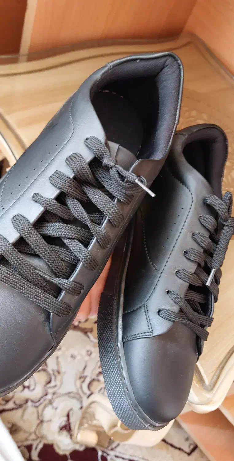 کفش|کیف، کفش، کمربند|کاشمر, |دیوار