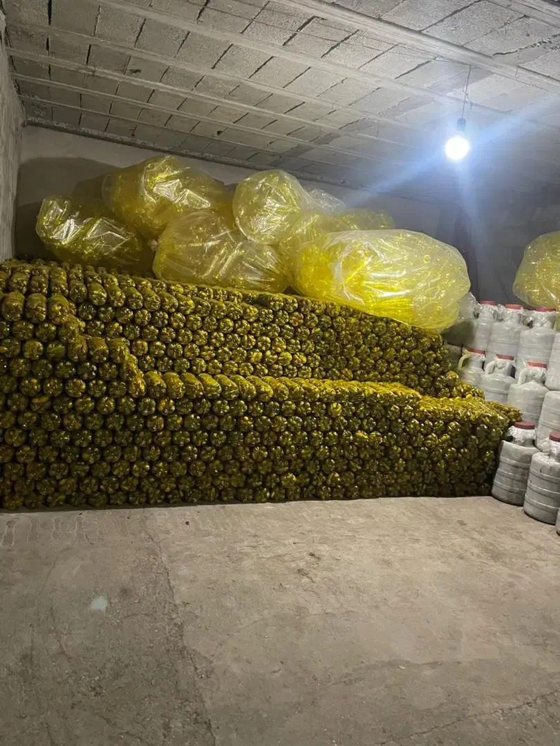 فروش خیارشور|عمده‌فروشی|اسالم, |دیوار