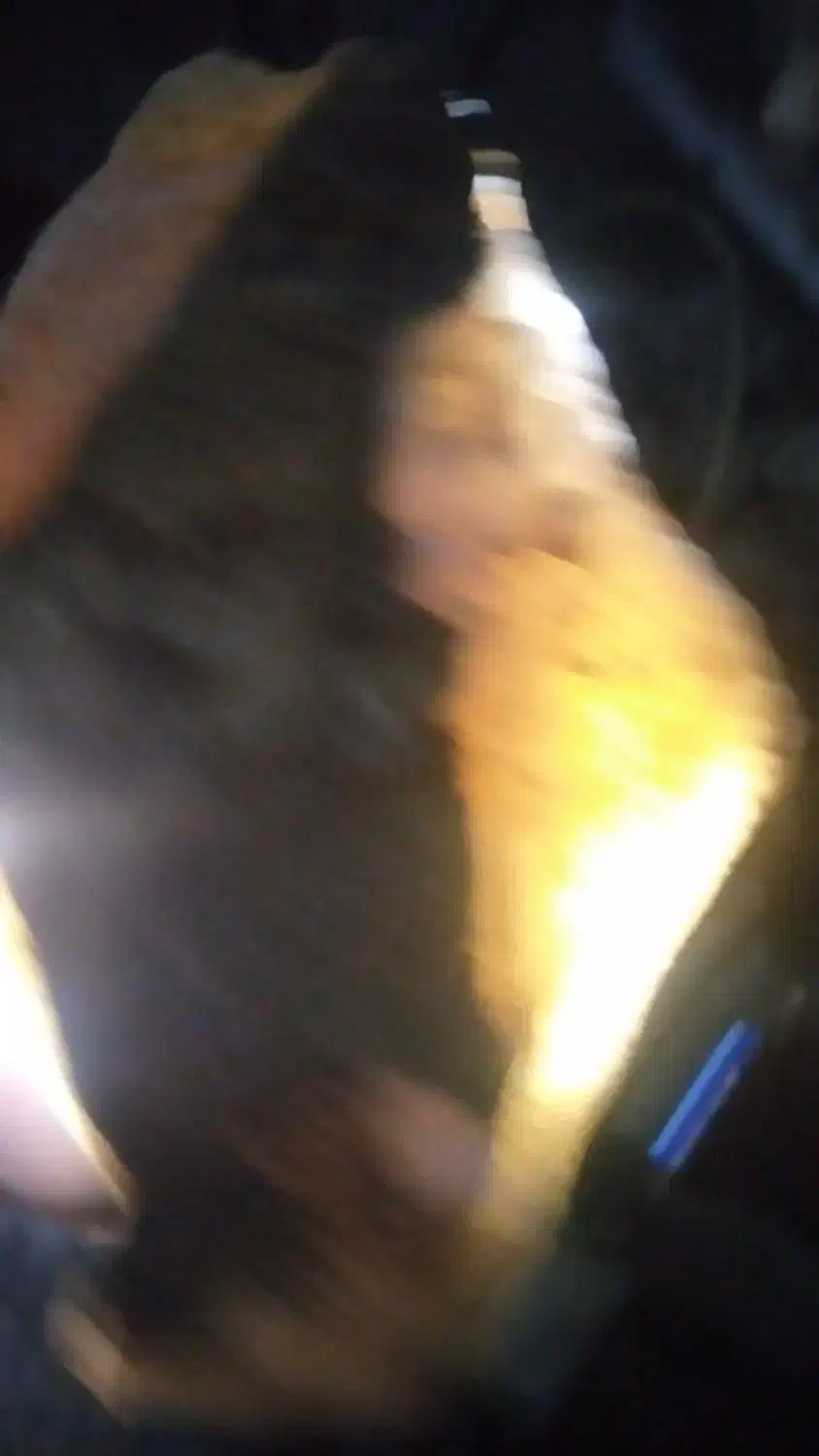 فروشی|جواهرات|میانه, |دیوار