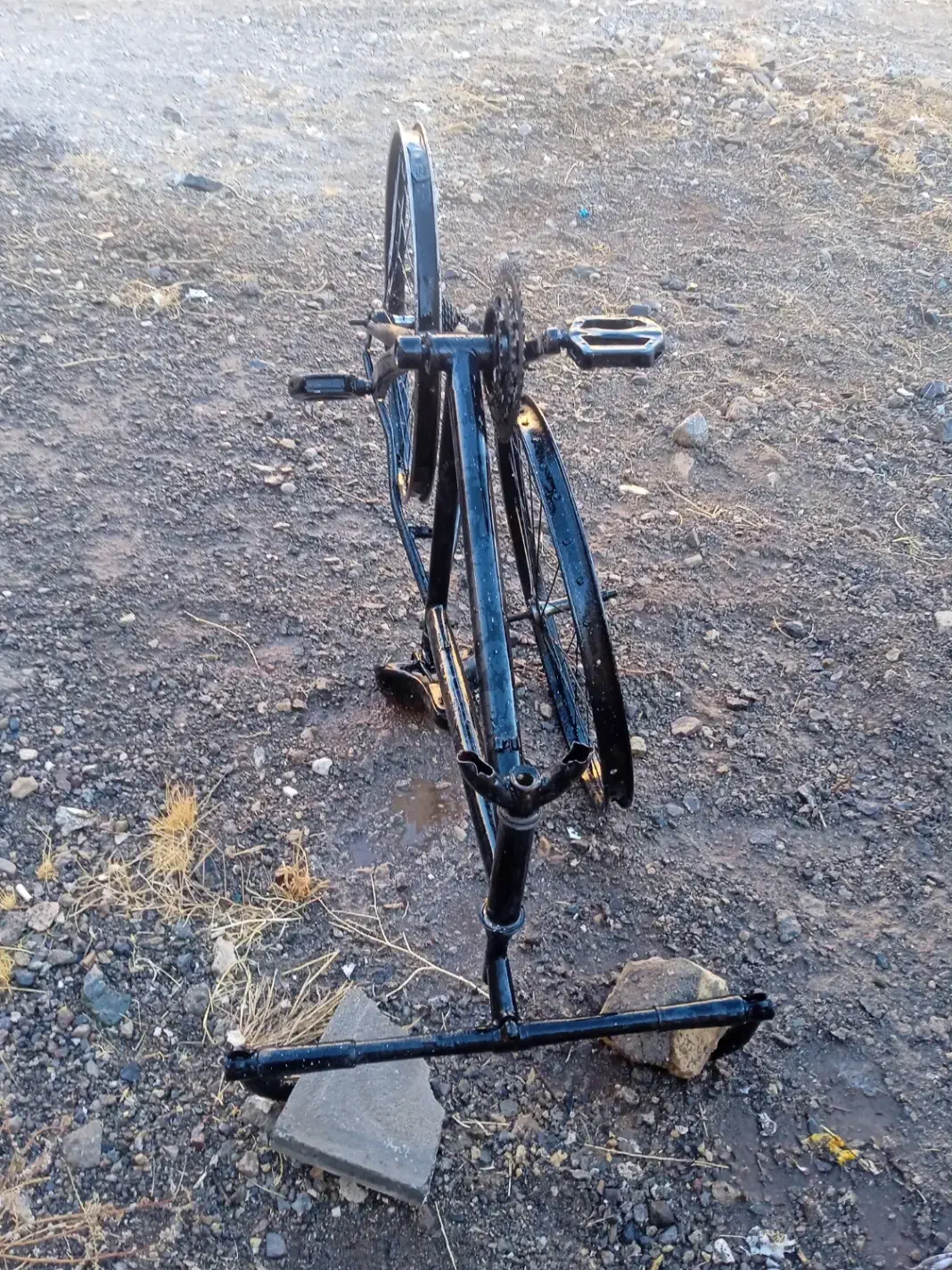 دوچرخه 24|دوچرخه، اسکیت، اسکوتر|تربت‌حیدریه, چهارراه خواف|دیوار