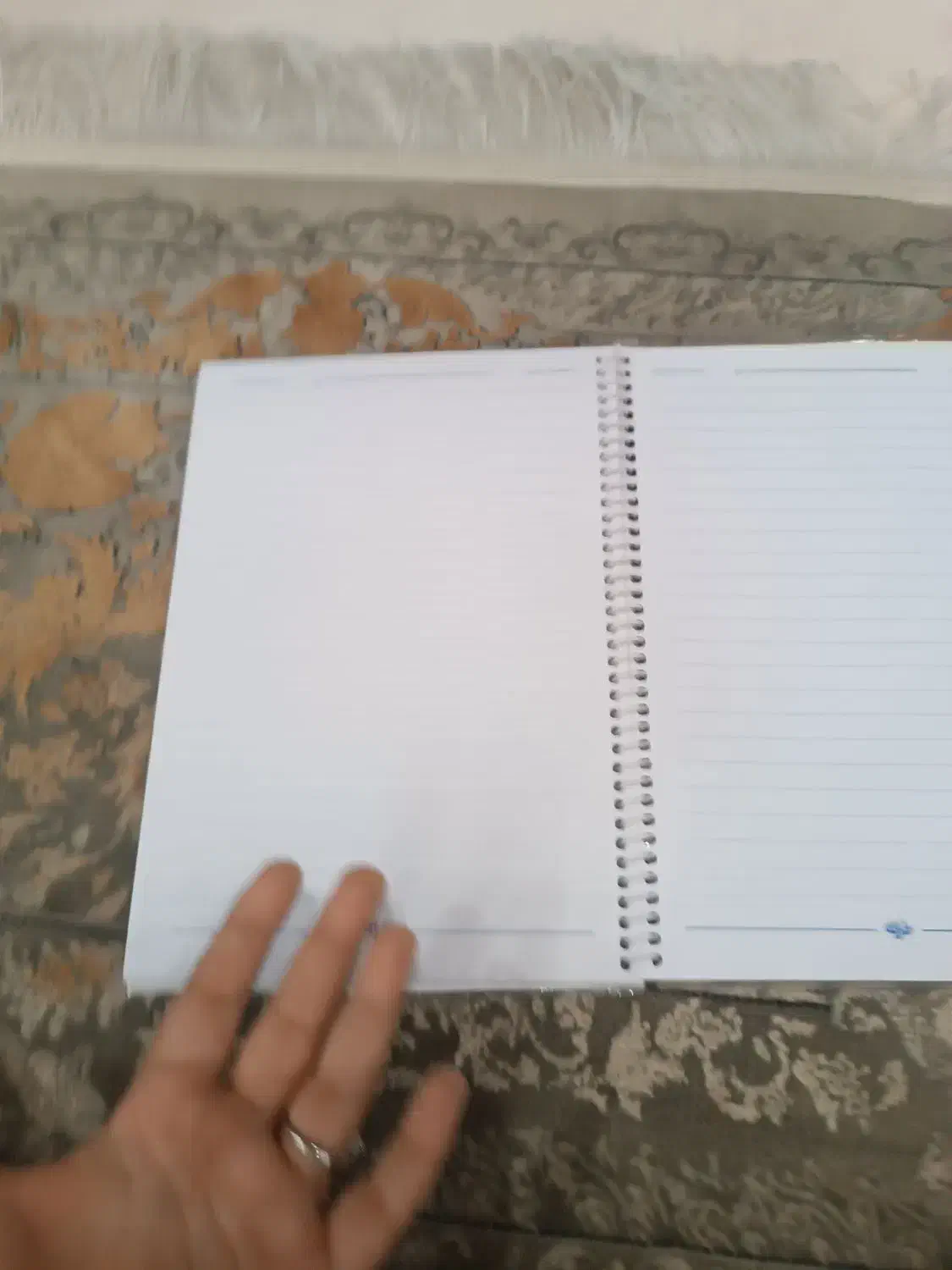 دفتر مشق بچه زرنگ|لوازم التحریر|فولادشهر, B4|دیوار