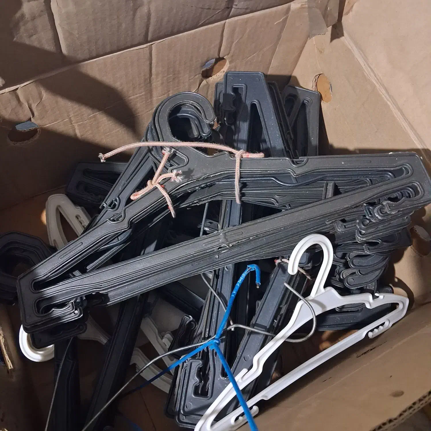 ۷۰ عدد چنگه لباس زیرقیمت|بندرخت و رخت‌آویز|گرگان, |دیوار