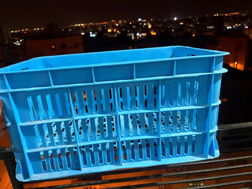 کلا سبد|ظروف نگهدارنده، پلاستیکی، یک‌بارمصرف|شیراز, ابیوردی|دیوار