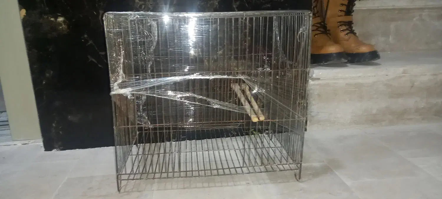 قفس پرنده|لوازم جانبی حیوانات|بجنورد, |دیوار