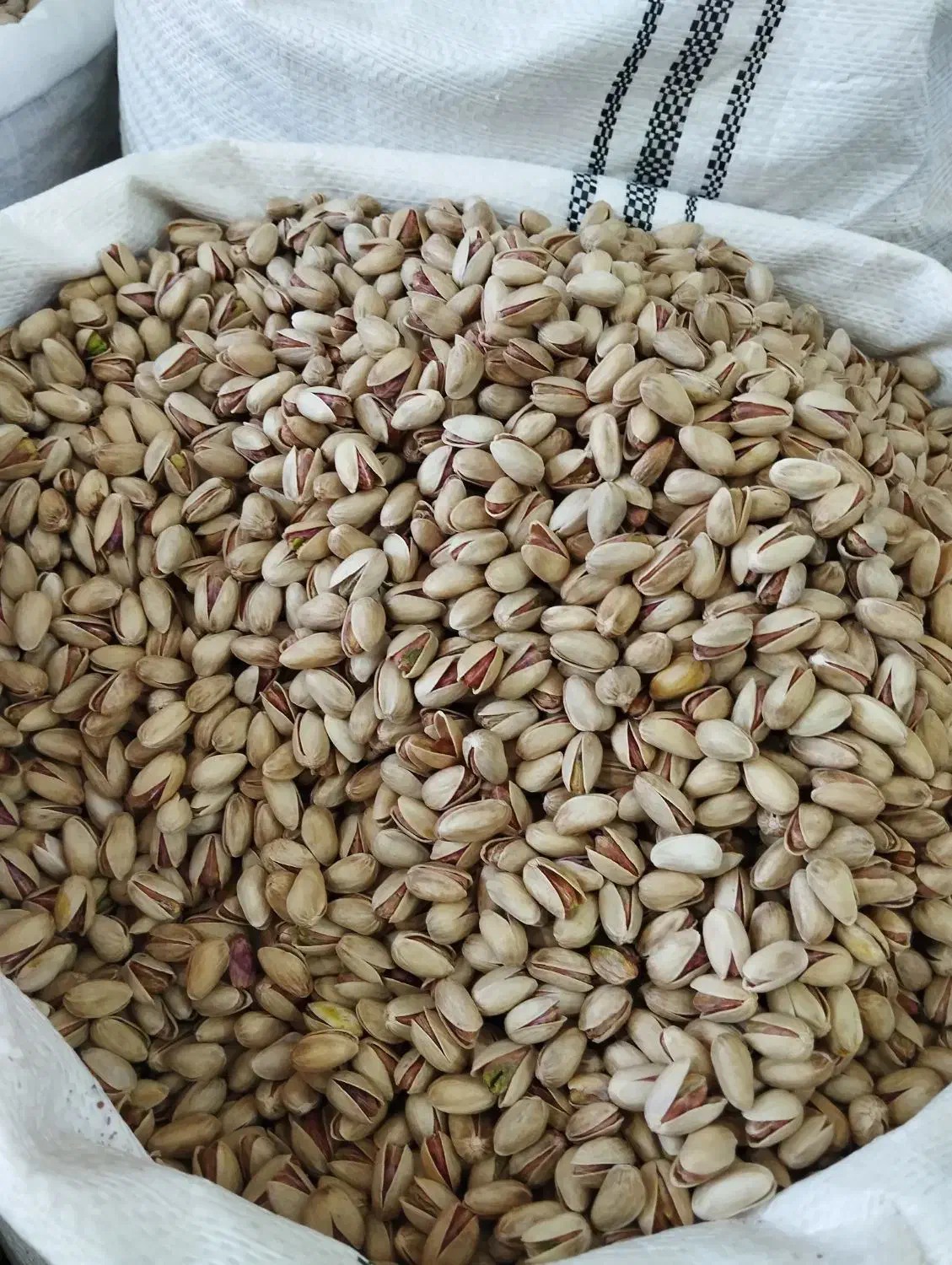 پسته شاهپسند|خوردنی و آشامیدنی|امیرآباد, |دیوار