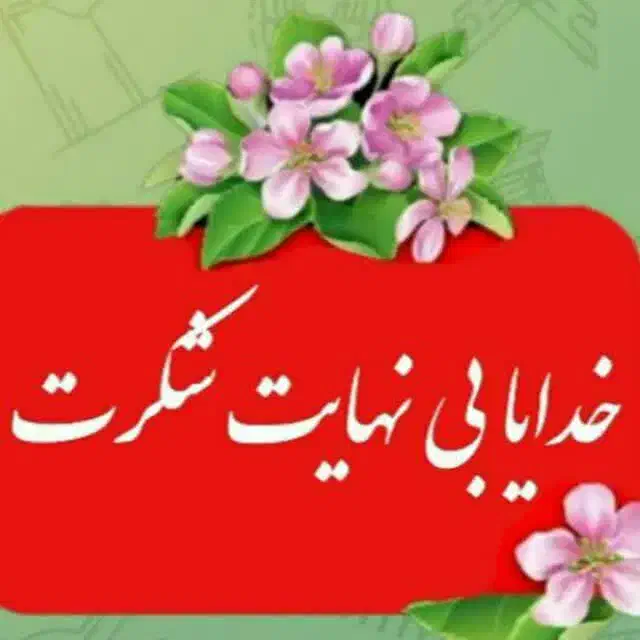 سرویس داخل شهر|لباس|داراب, |دیوار