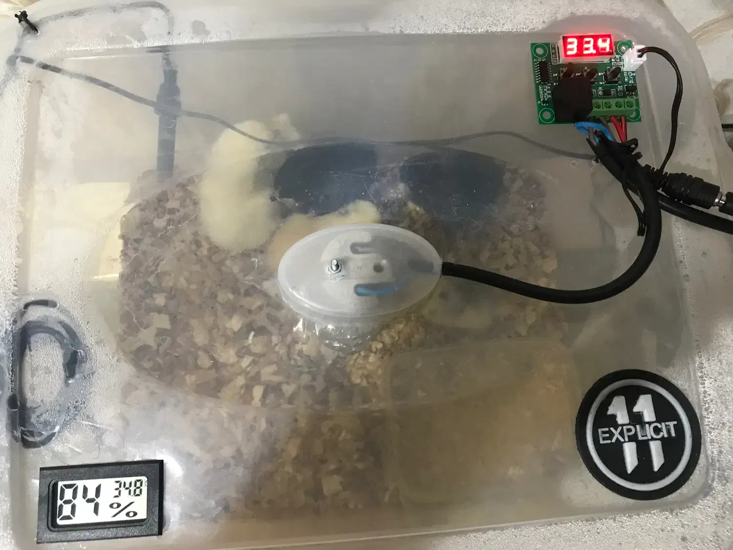 دستگاه جوجه کشی عالی|لوازم جانبی حیوانات|اراک, |دیوار