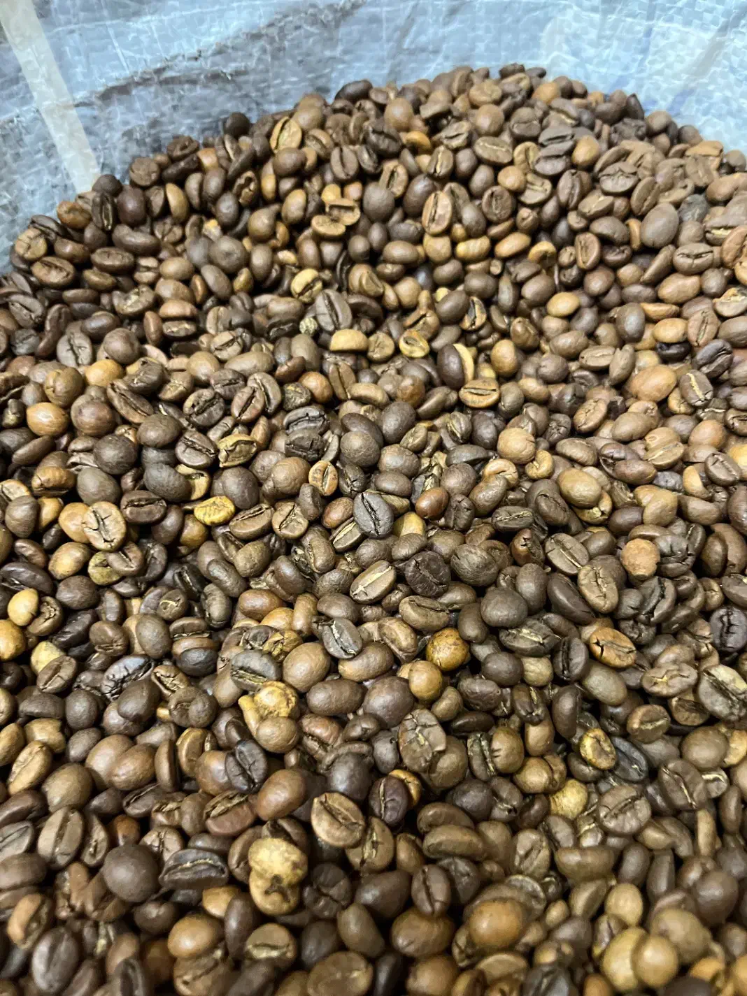 پخش44 قهوه عمده و جزئی و تجهیزات و انواع برند|عمده‌فروشی|مشهد, آزادشهر|دیوار