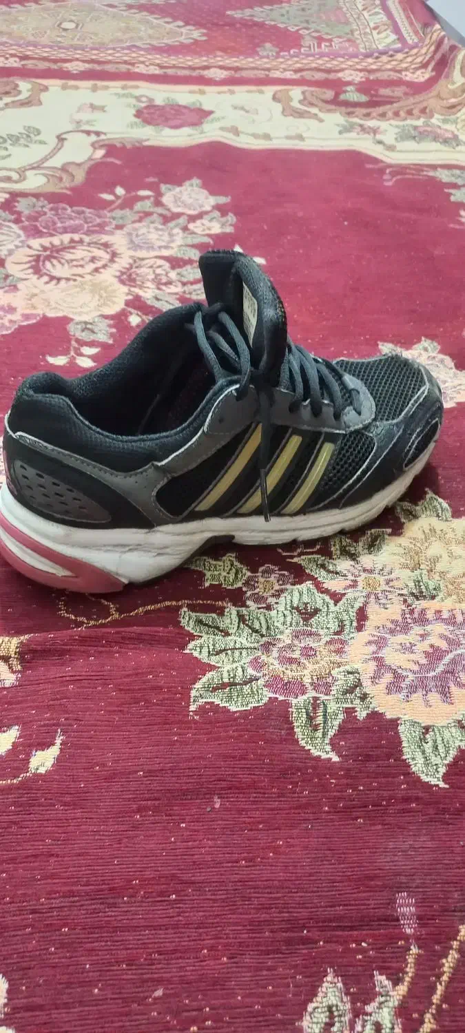 کتونی سفارش ویتنام ادیداس  اکومنت سایز ۳۹|کیف، کفش، کمربند|قرچک, شهرک طلائیه|دیوار