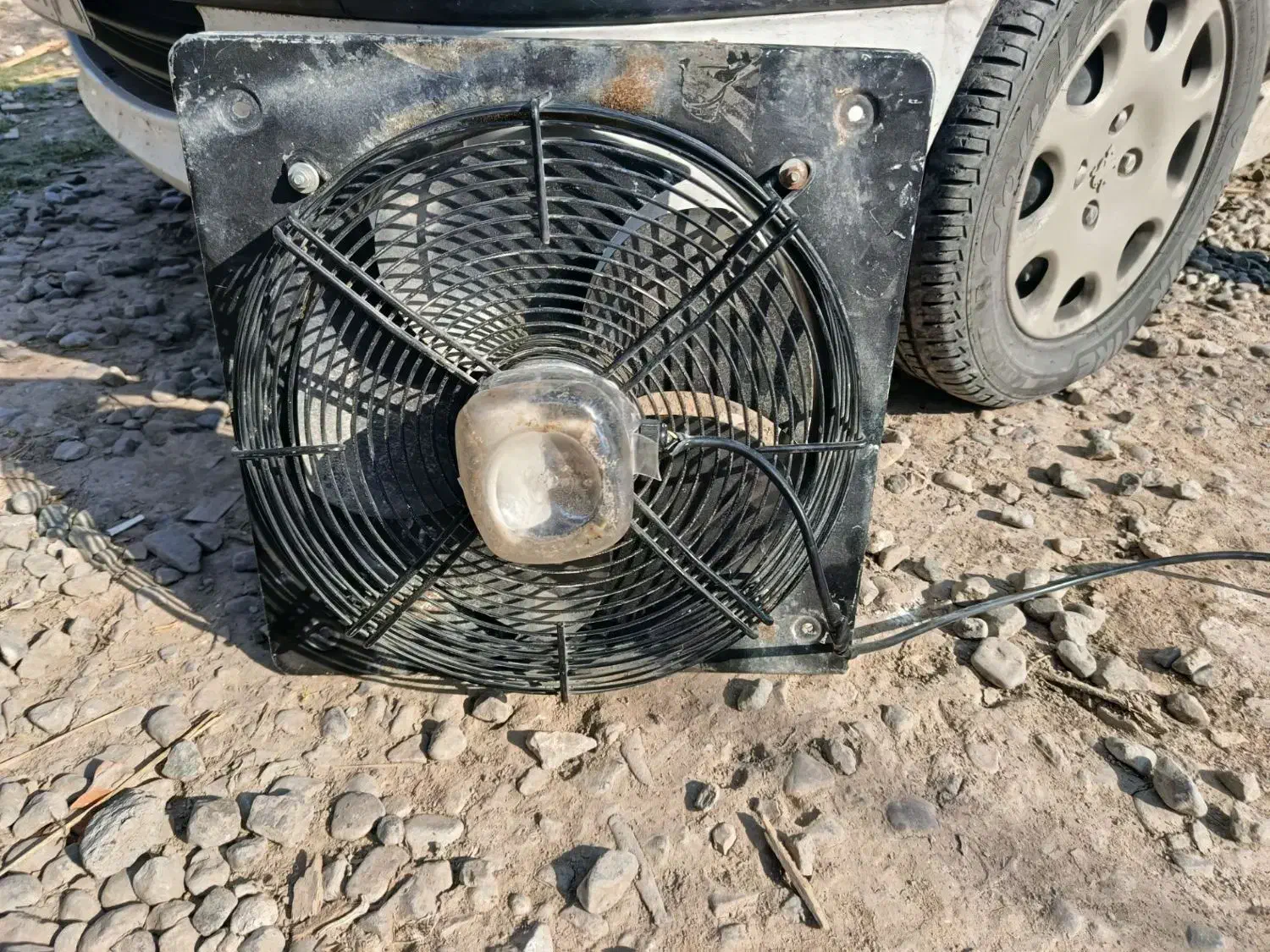 هواکش مرغداری|پنکه و تصفیه‌کنندهٔ هوا|آق قلا, |دیوار