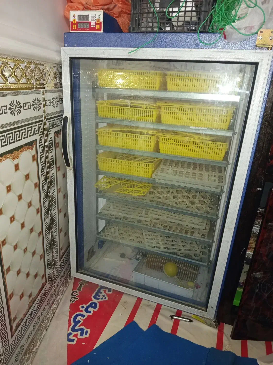 دستگاه جوجه کشی دماوند|لوازم جانبی حیوانات|هامون, |دیوار