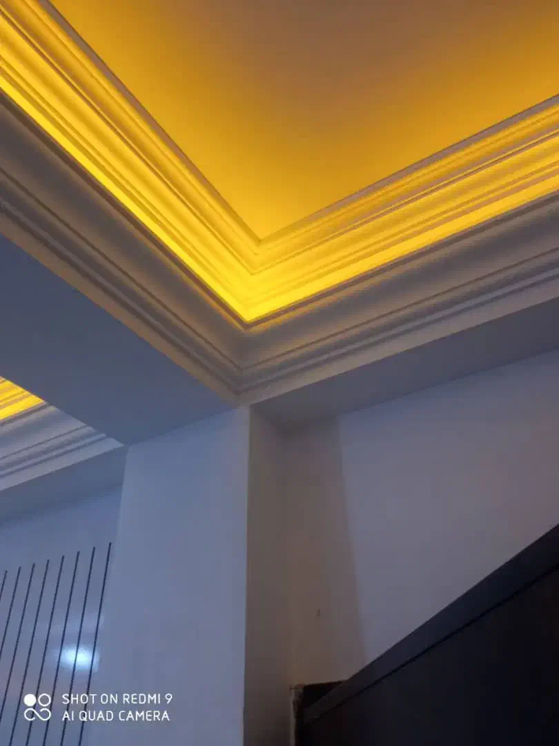 گچ کار حرفه ایی|خدمات پیشه و مهارت|بیضا, |دیوار