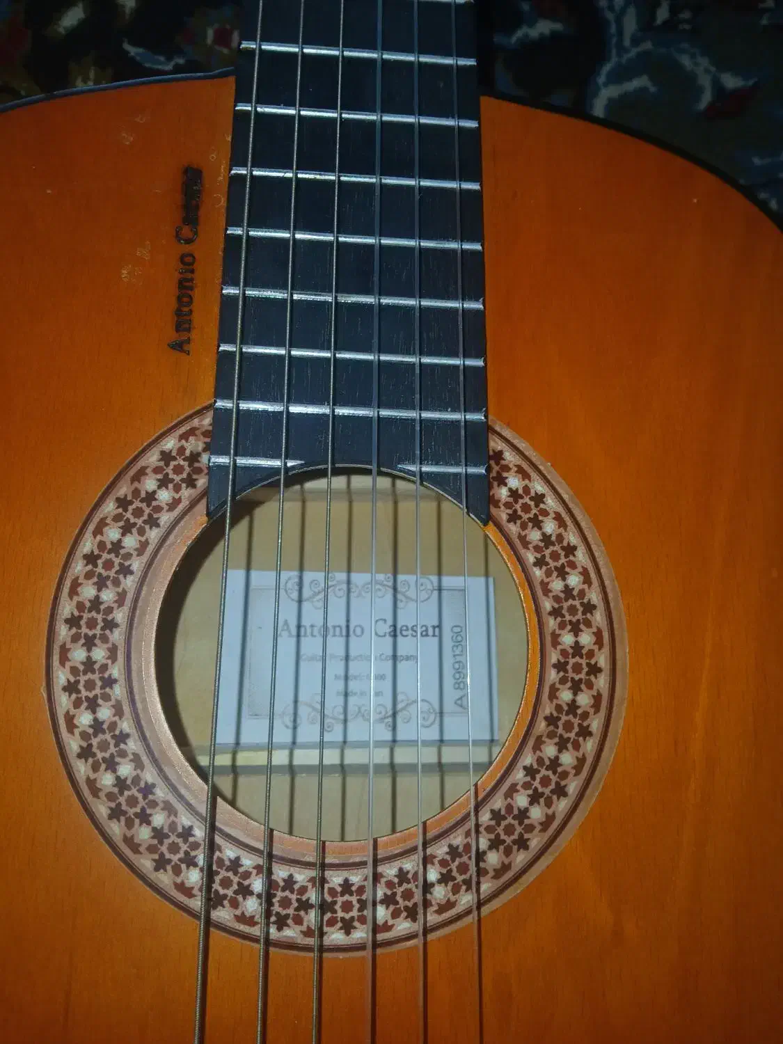 فروش گیتار درحد نو|گیتار، بیس، امپلیفایر|شاندیز, |دیوار