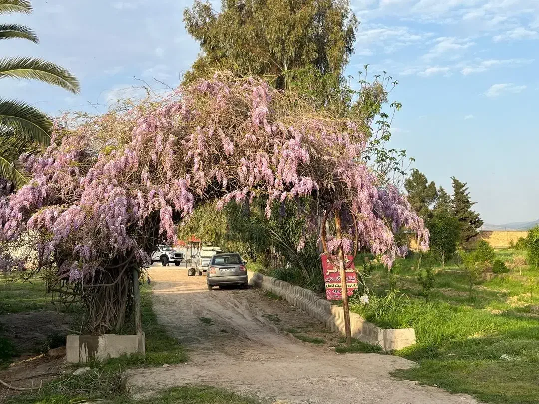خانه مسافر نیلکوه گلستان|اجارهٔ کوتاه‌مدت آپارتمان و سوئیت|گالیکش, |دیوار