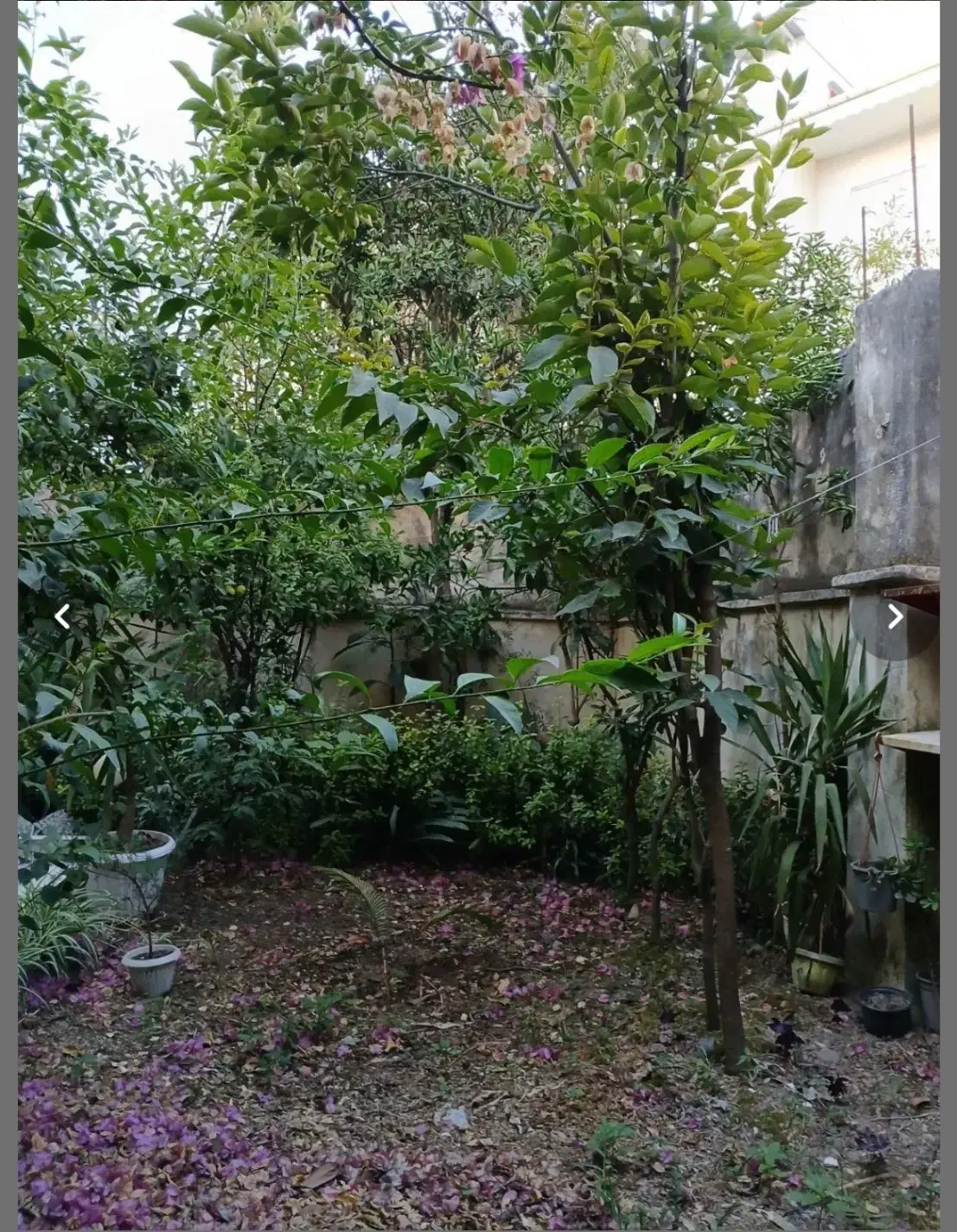 اجاره ویلایی ۱۵۰ متری/خرمشهر|اجارهٔ خانه و ویلا|لاهیجان, شهید آوینی|دیوار