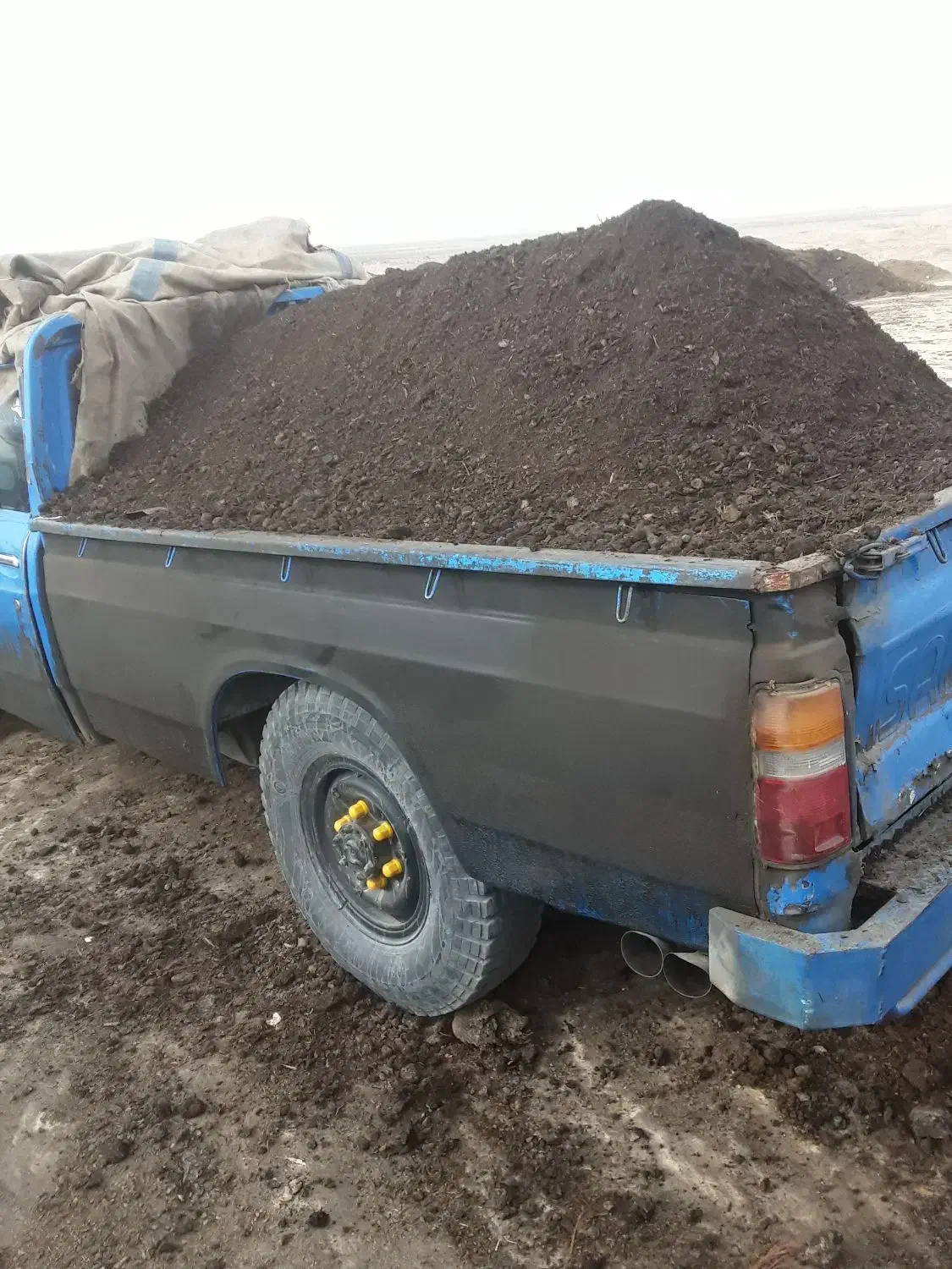 کود پوسیده حیوانی و خاک باغچه تحویل در محل شما|خدمات باغبانی و درختکاری|هشتگرد, تهران دشت|دیوار