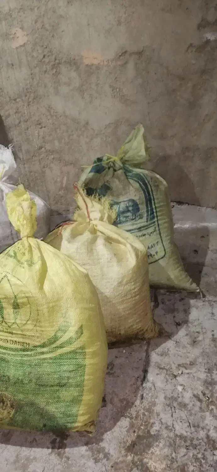 بار کبوتر|لوازم جانبی حیوانات|سبزوار, شرق کال میانی|دیوار