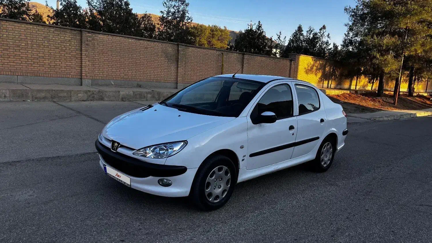 206   Tu5. Sd|خودرو سواری و وانت|پاسارگاد, |دیوار