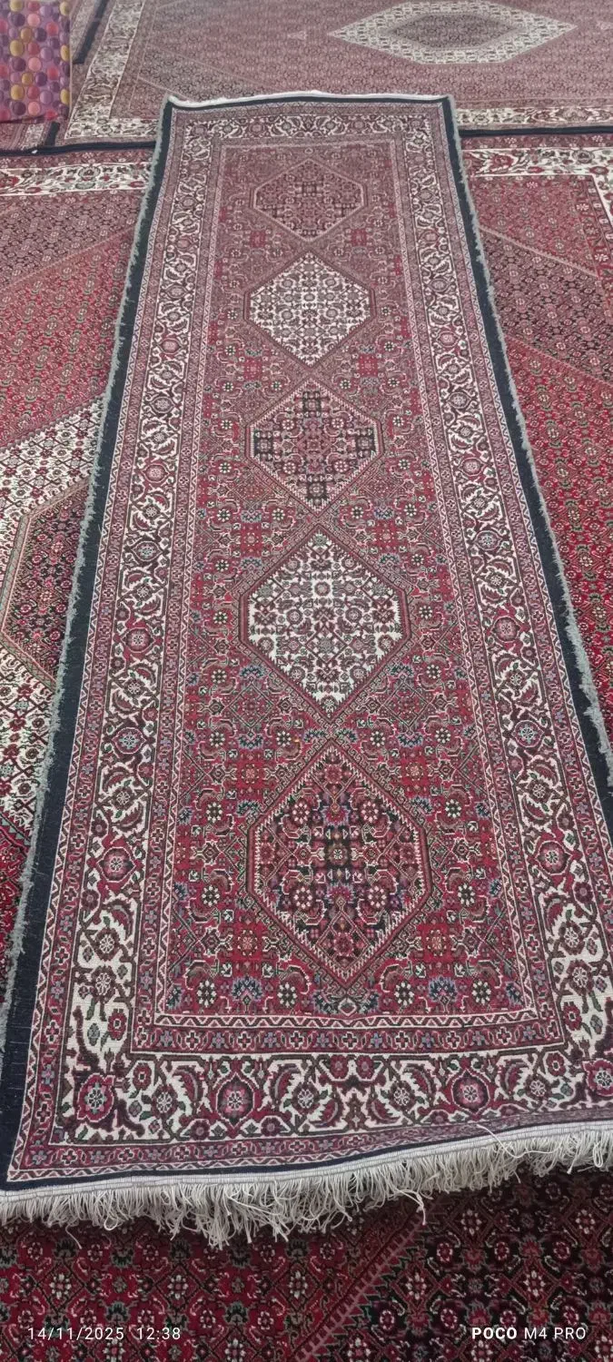 فرش دستبافت کناره|فرش|زنجان, |دیوار