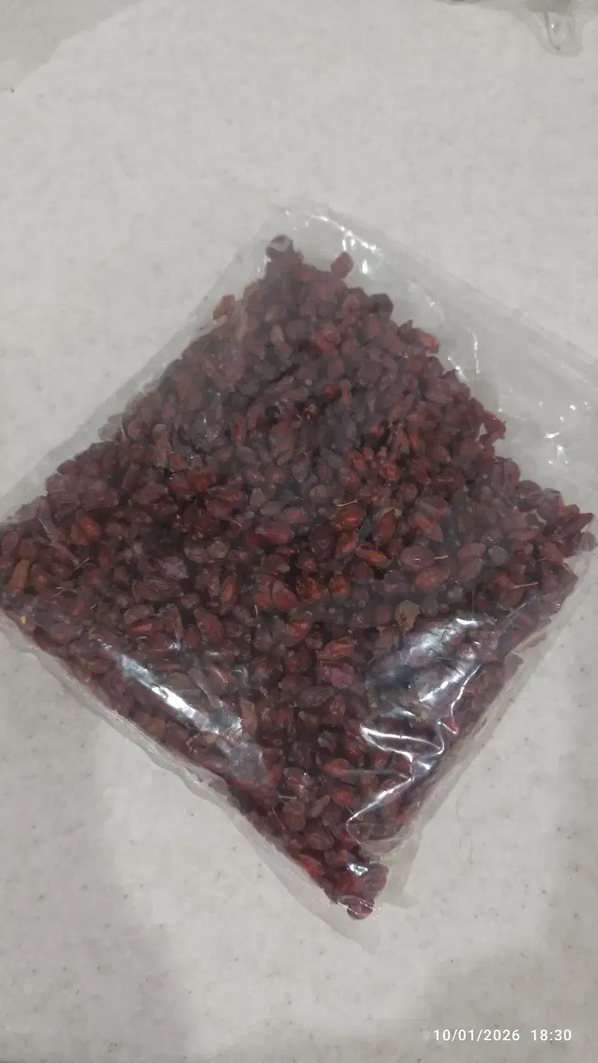 زرشک کوهی|خوردنی و آشامیدنی|تربت‌حیدریه, قائم|دیوار