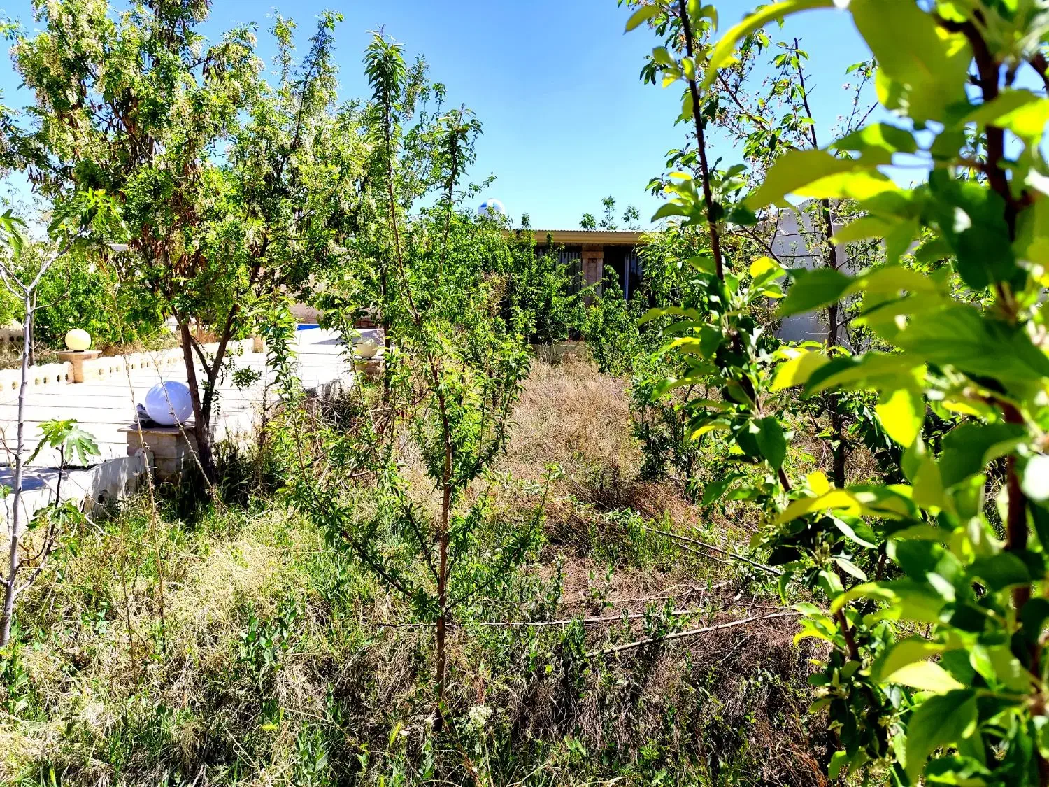 500 متر باغ ویلا/ خدایارخان / زیر قیمت|فروش خانه و ویلا|محمدشهر, محمدشهر|دیوار