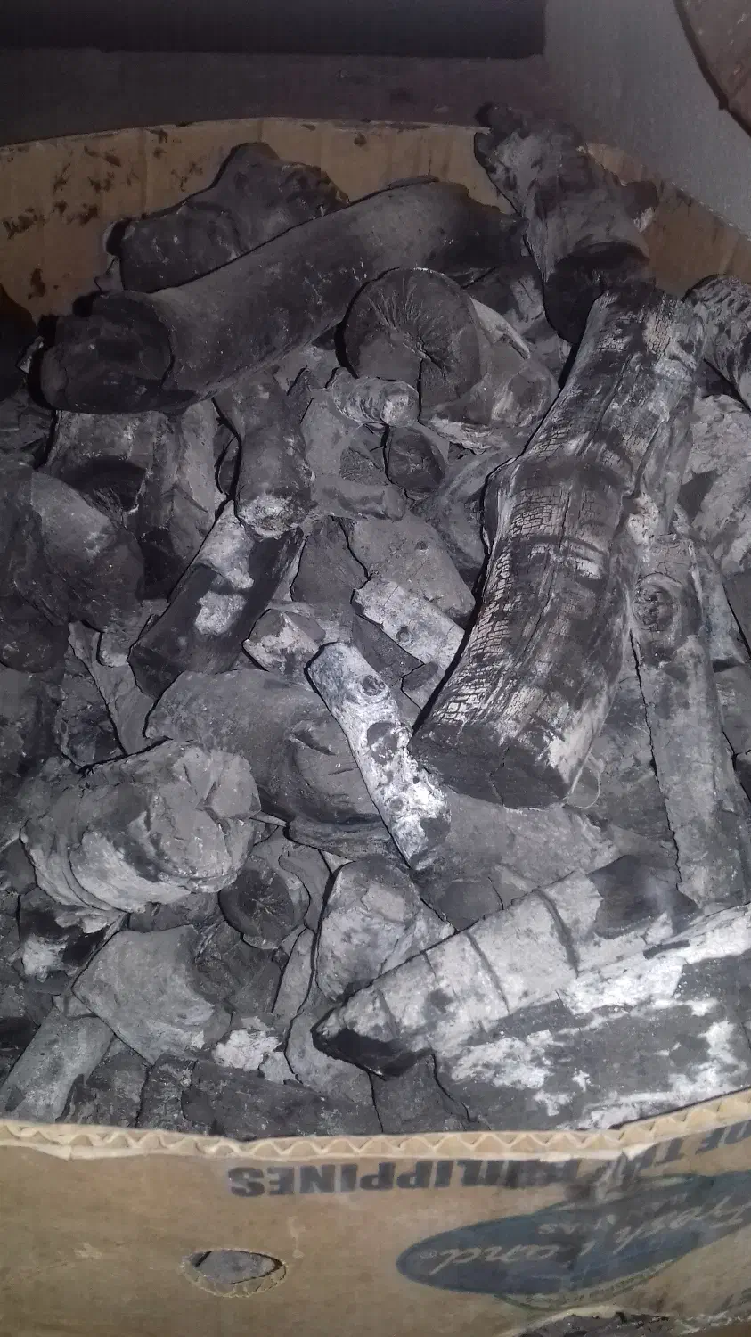 زغال پسته|کوهنوردی و کمپینگ|پردیس, فاز ۸|دیوار