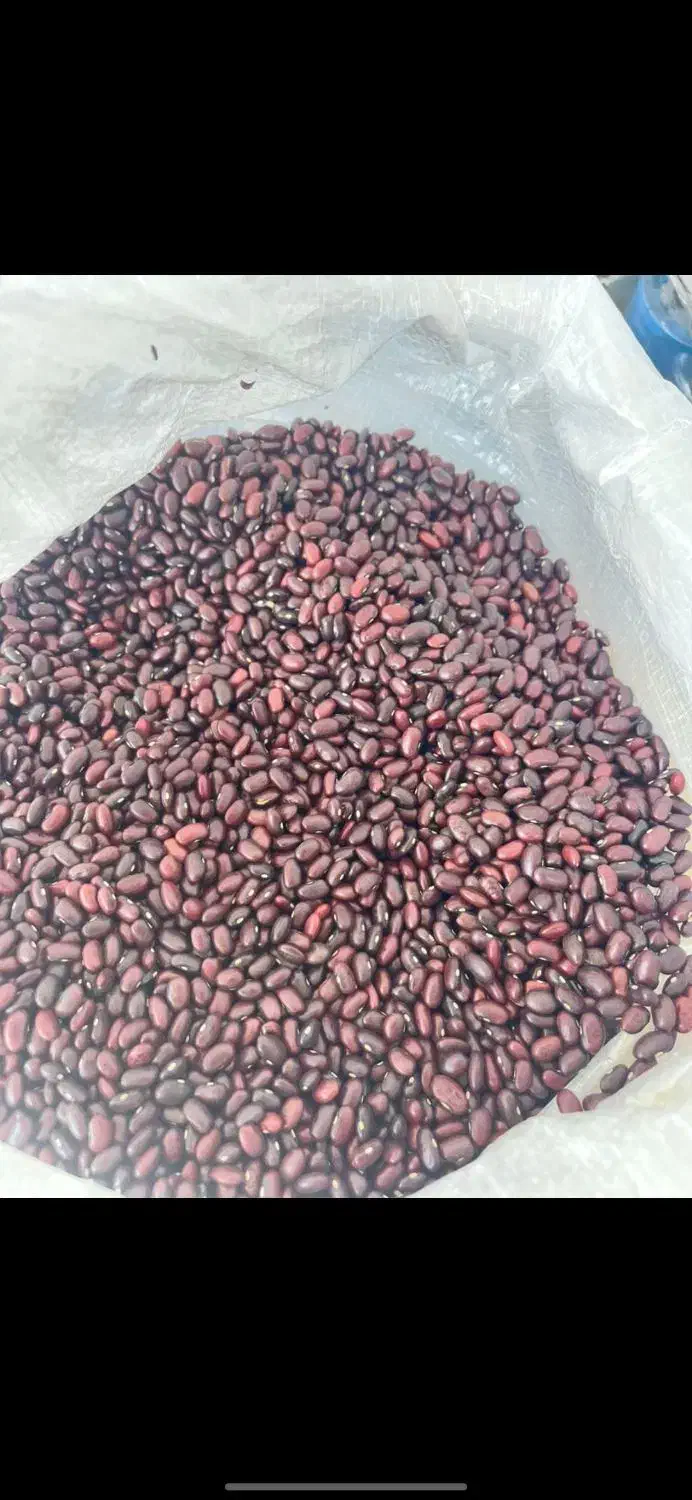 لوبیا قرمز و چیتی و عدس|خوردنی و آشامیدنی|اندیمشک, |دیوار