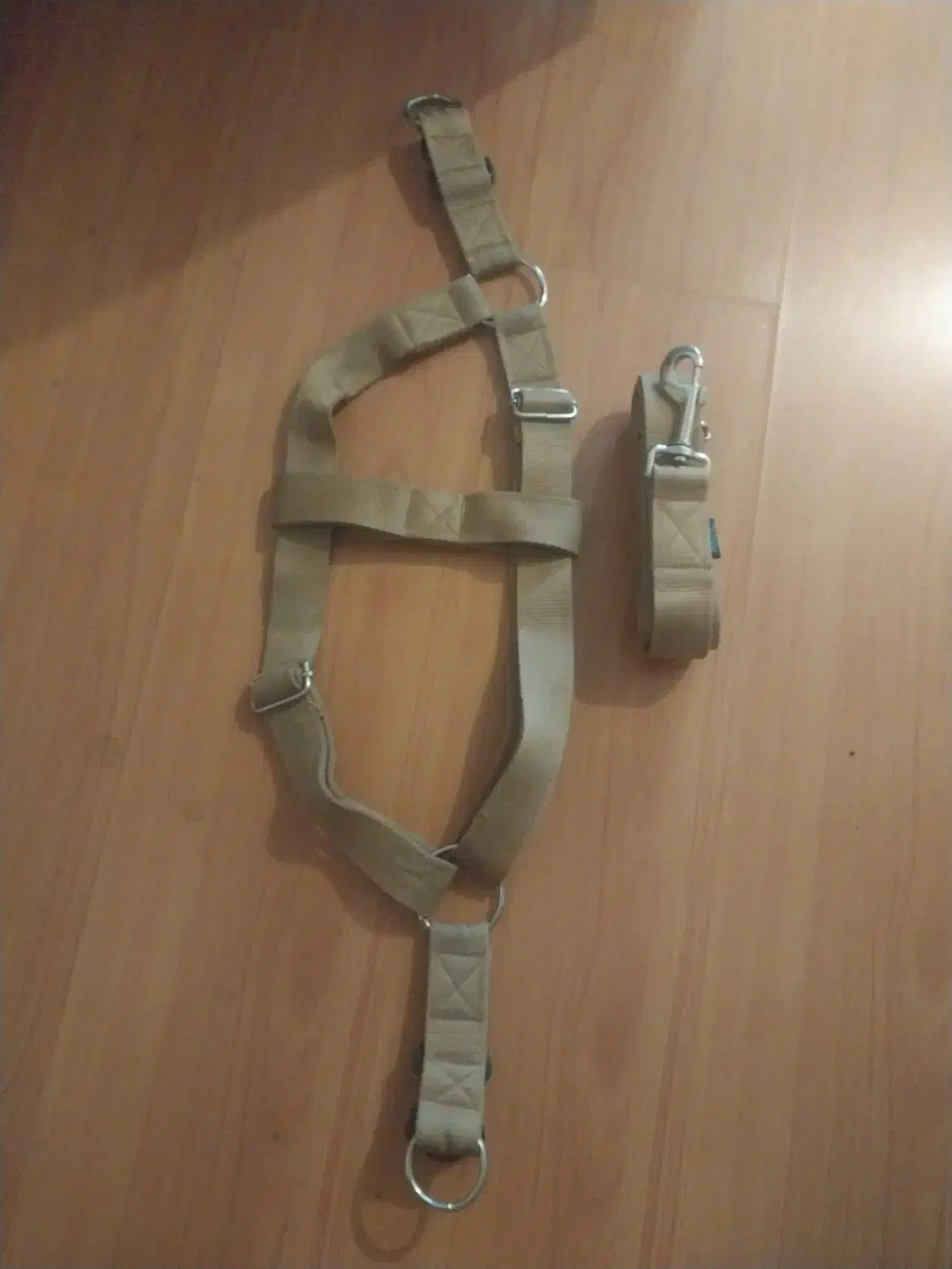 باکس بزرگ و غلاده|لوازم جانبی حیوانات|تهران, جنت‌آباد مرکزی|دیوار