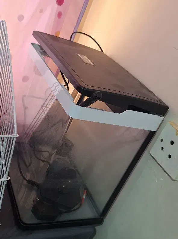 اکواریوم دلسا|ماهی|اهواز, گلستان|دیوار