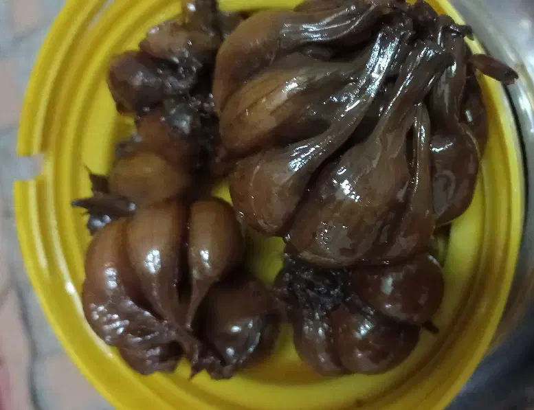 سیرترشی ۸ ساله خونگی خوشمزه|خوردنی و آشامیدنی|مزرعه کتول, |دیوار