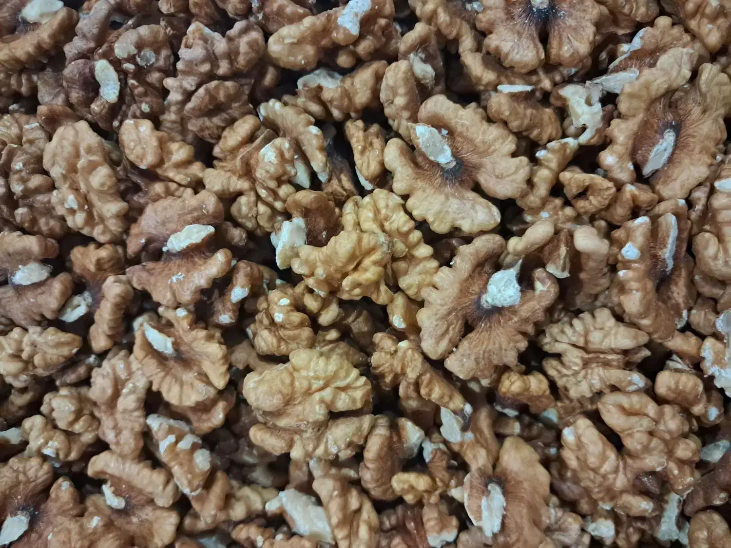 مغز گردو|خوردنی و آشامیدنی|زنجان, |دیوار