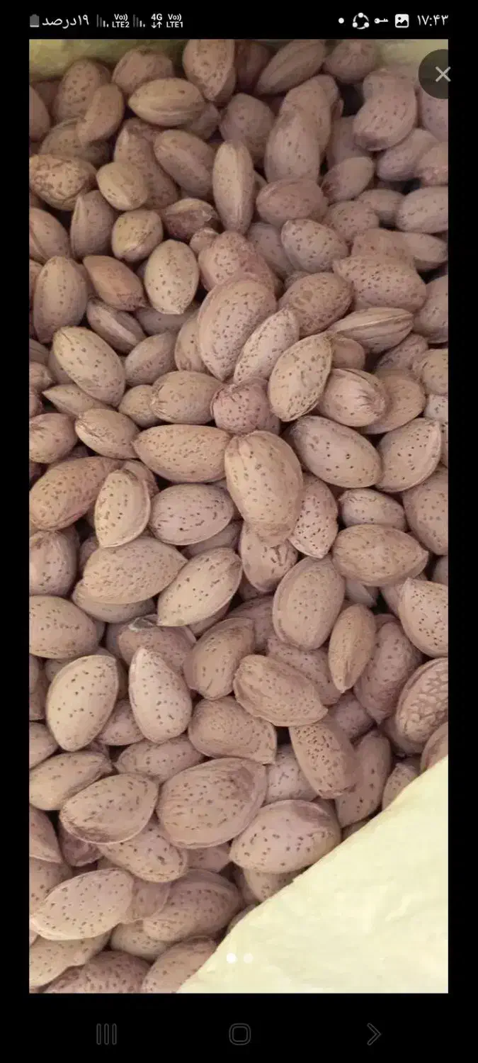 بادام و گردو وابغوره و سرکه محلی|خوردنی و آشامیدنی|سبزوار, هویزه|دیوار