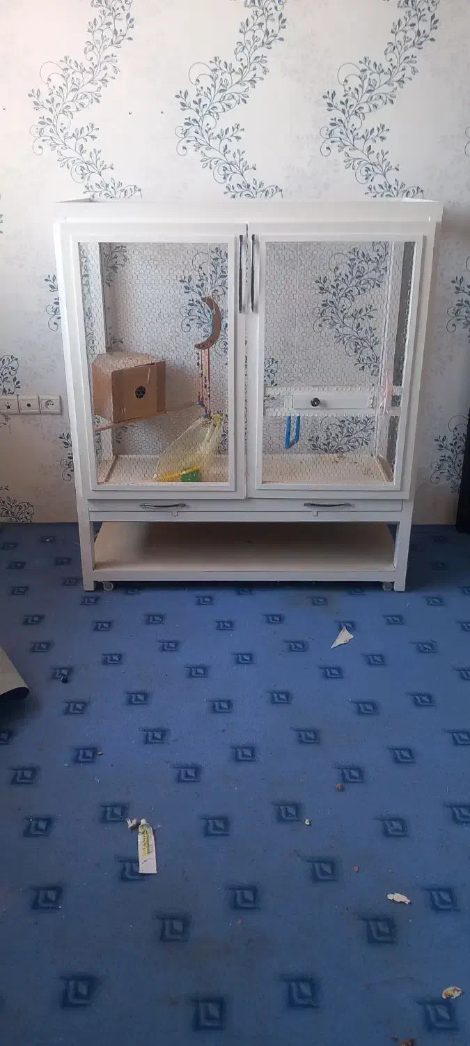 قفس پرنده|لوازم جانبی حیوانات|بندر انزلی, متروپل|دیوار