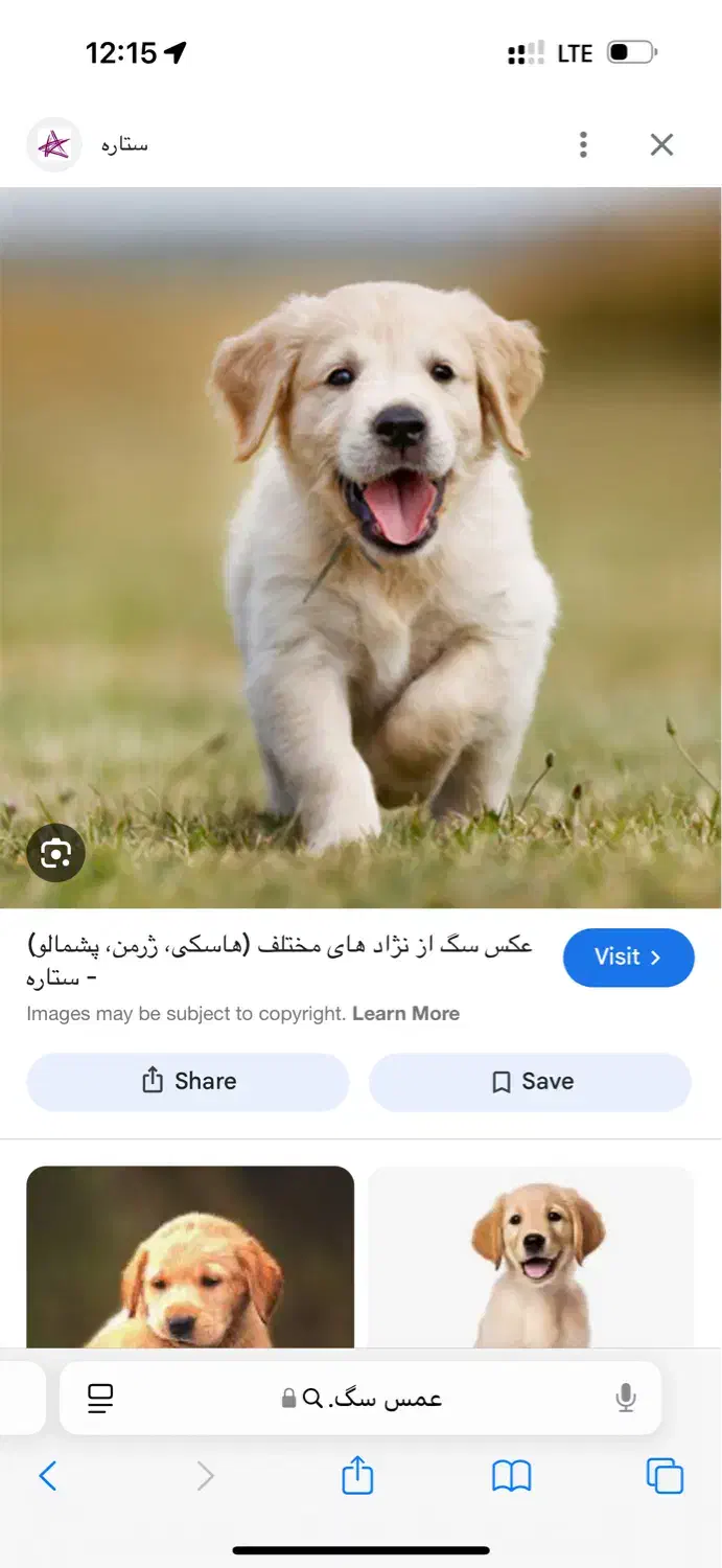 نیازمند اصلاح کار حیوانات خانگی هستیم|استخدام درمانی، زیبایی، بهداشتی|تهران, تجریش|دیوار