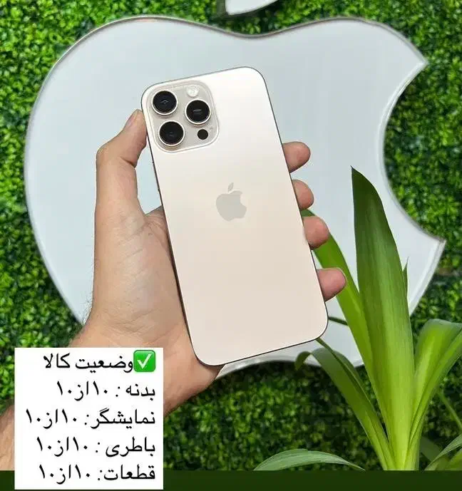 16pro max zaa|موبایل|تهران, آبشار|دیوار