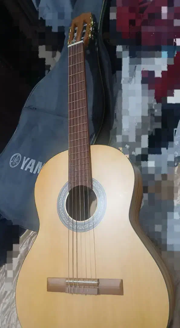 گیتار پارسی p 70|گیتار، بیس، امپلیفایر|شیراز, میانرود|دیوار