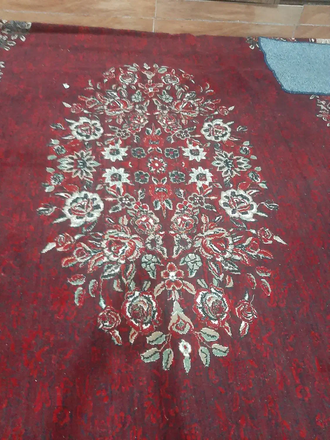 قالی|فرش|بندر ماهشهر, |دیوار