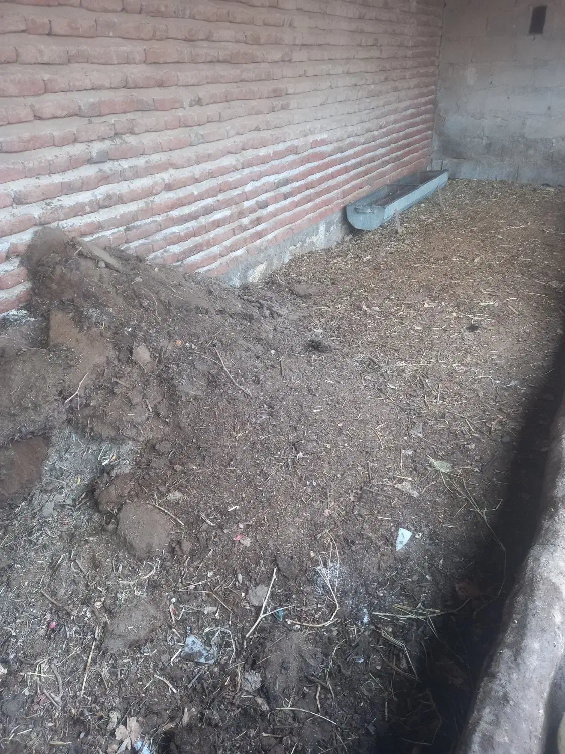 کود حیوانی|لوازم جانبی حیوانات|بناب, |دیوار