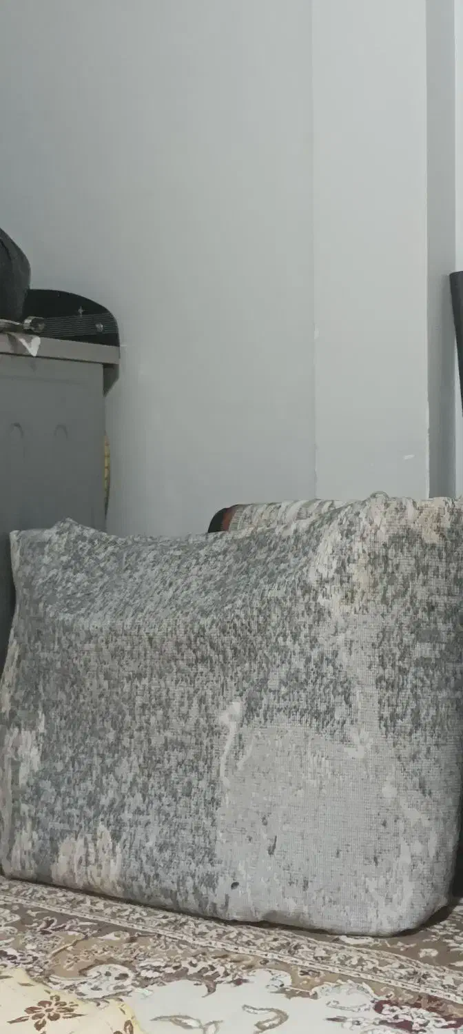 فرش سالم بخاطر اثاث کشی دارم جا ندارم|فرش|گلبهار, شهر جدید گلبهار|دیوار