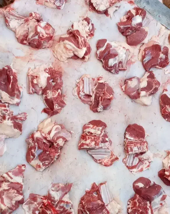 گوسفند زنده قلم آبی تنظیم بازار وتعاونی/خونی|حیوانات مزرعه|مشهد, کشاورز|دیوار