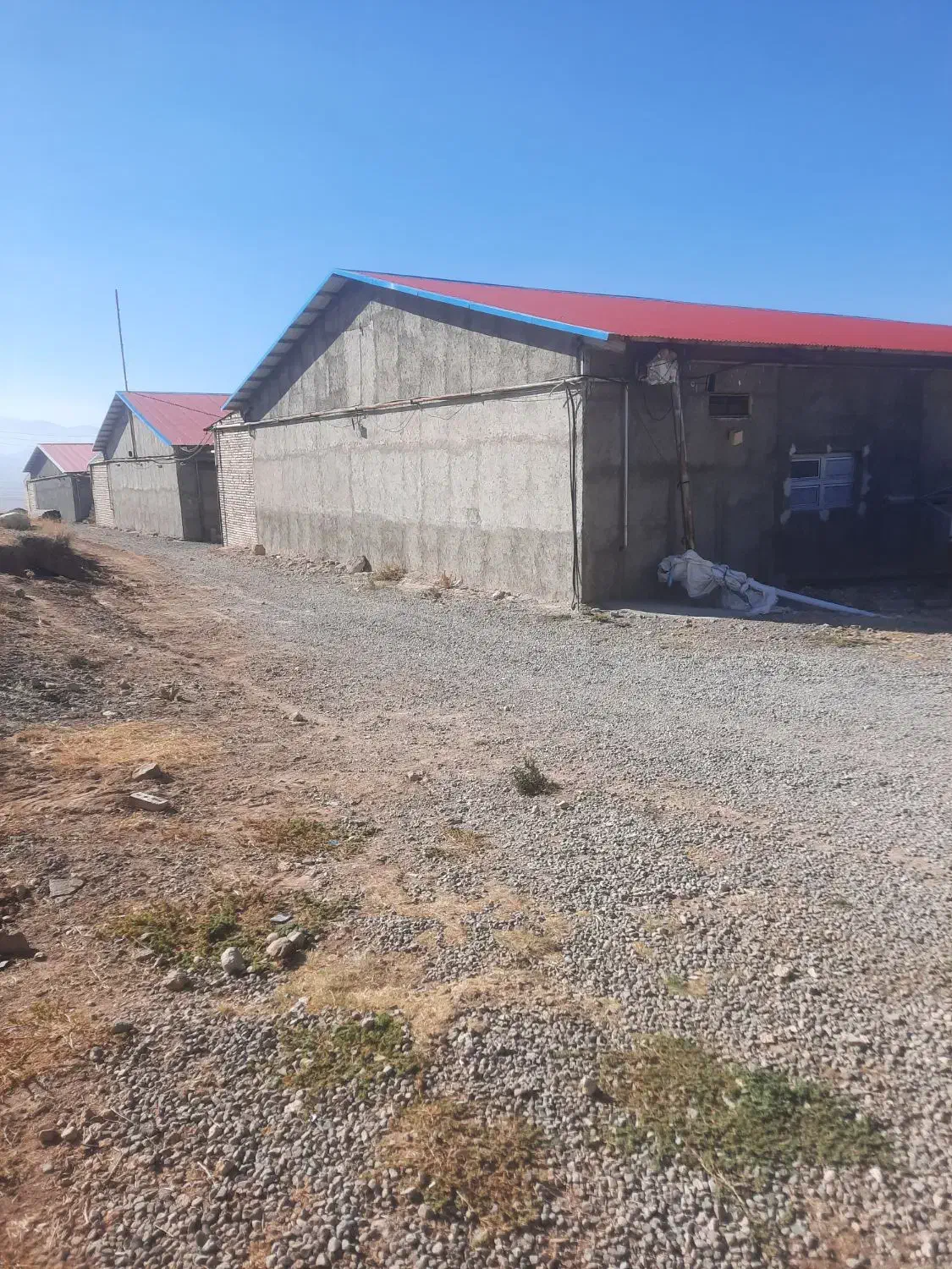 کار در مرغداری|استخدام صنعتی، فنی، مهندسی|مرند, |دیوار