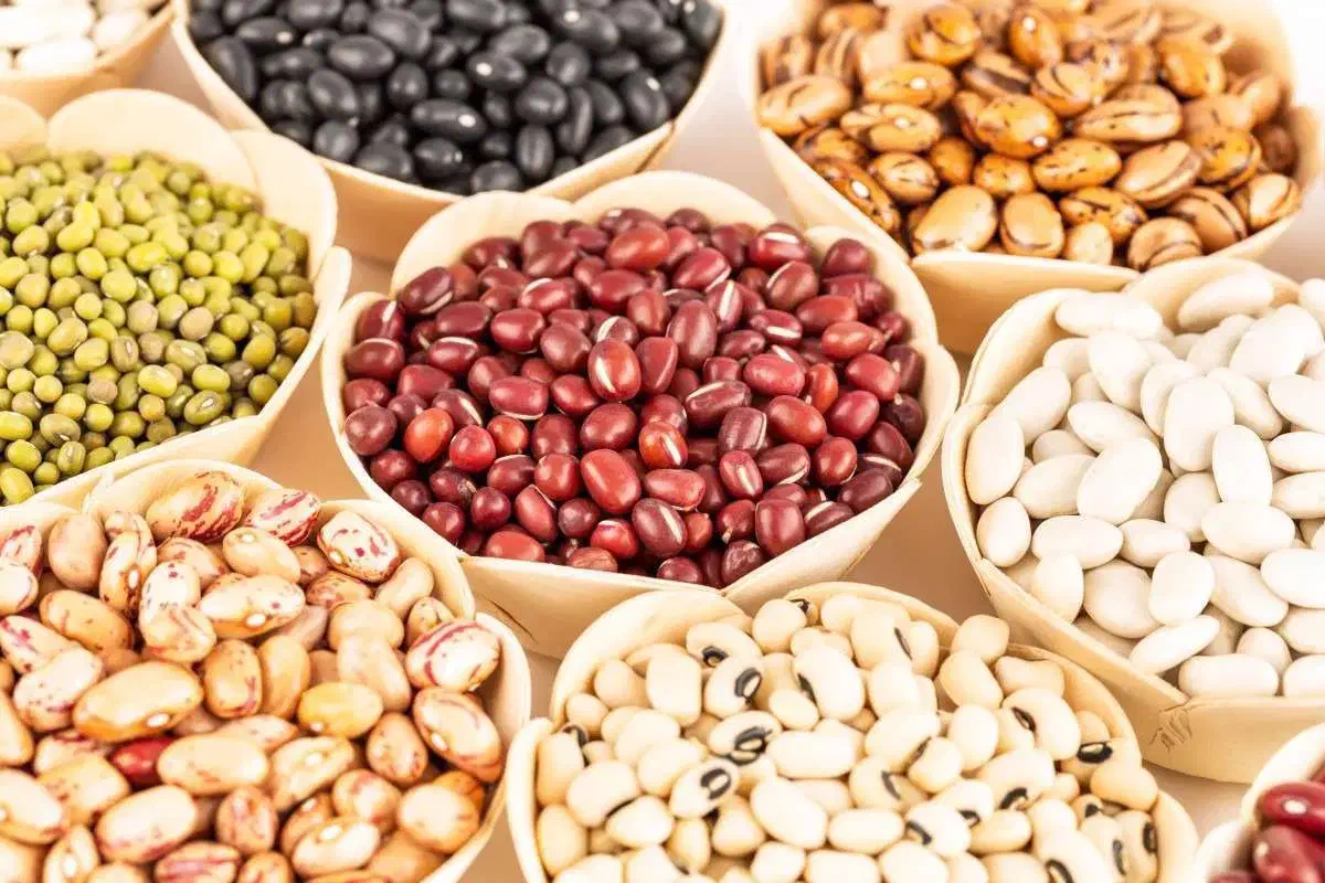 لوبیا عمده|خوردنی و آشامیدنی|تهران, افسریه جنوبی|دیوار