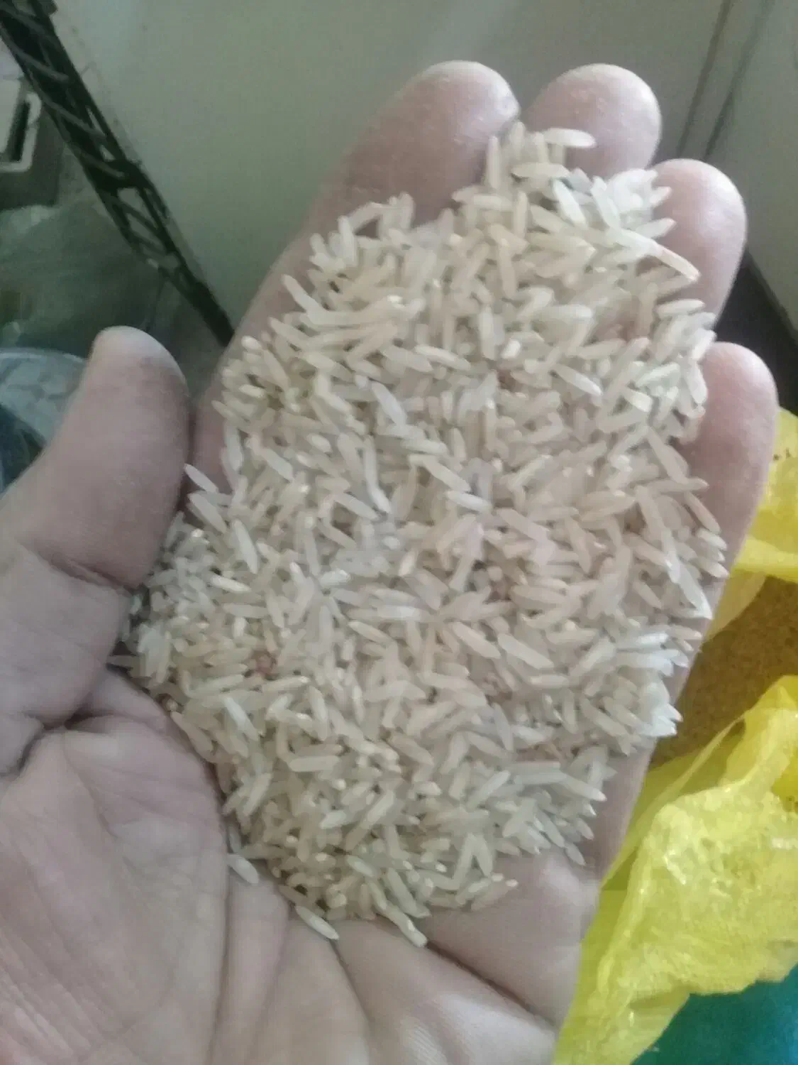 برنج علی کاظمی سرابکلان|خوردنی و آشامیدنی|سیروان, |دیوار