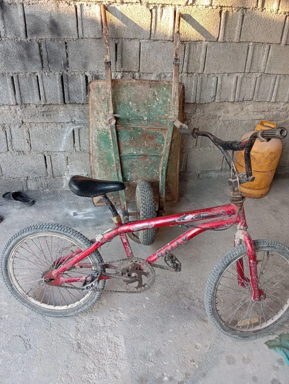 دوچرخه گ ا ر ی|دوچرخه، اسکیت، اسکوتر|برازجان, |دیوار