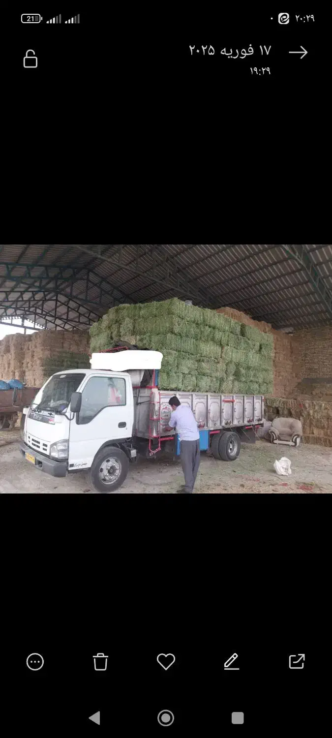 پرس یونجه|لوازم جانبی حیوانات|اصفهان, روشن‌دشت|دیوار