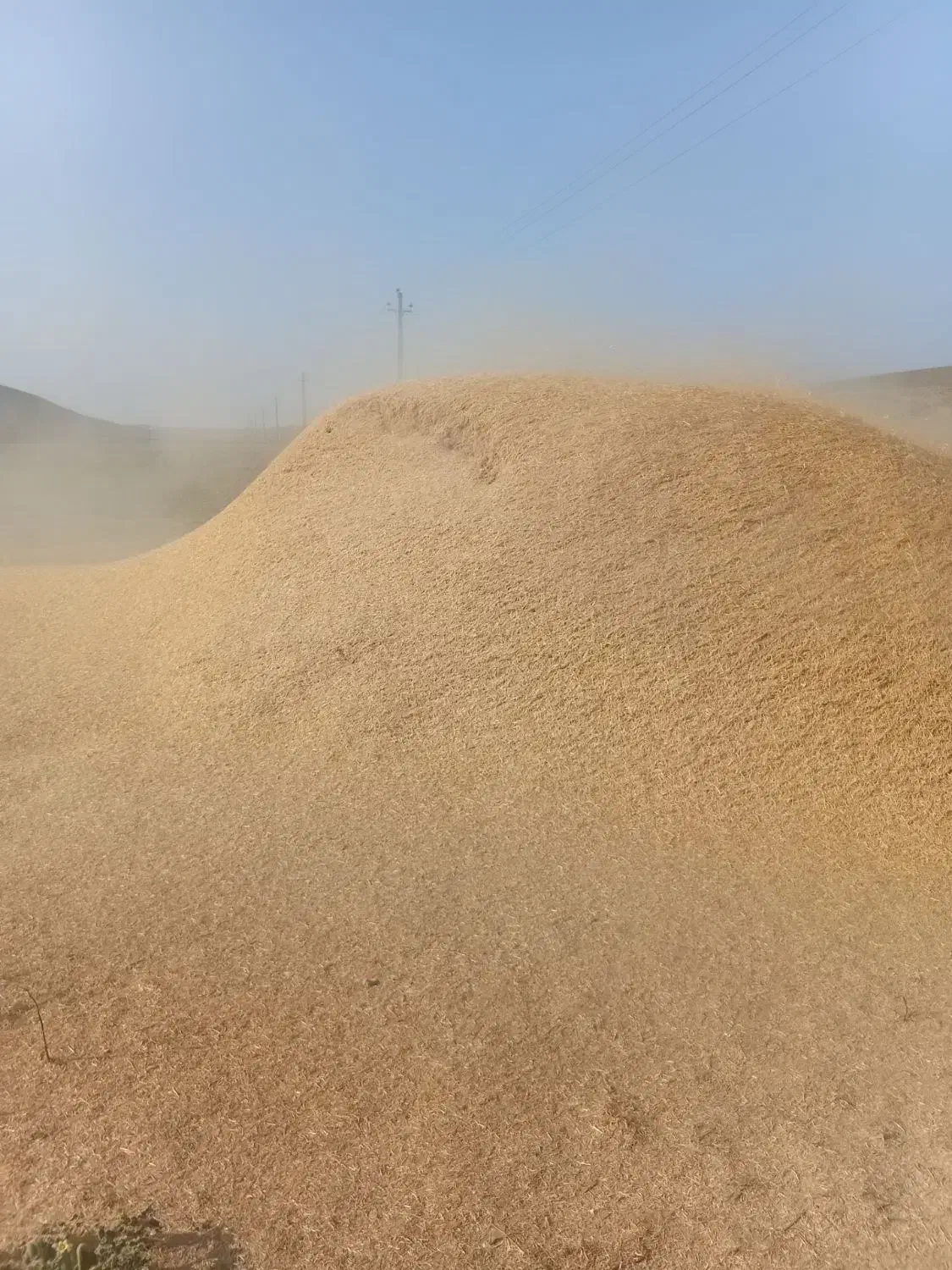 کاه گندم|عمدهفروشی|قشلاق دشت, |دیوار