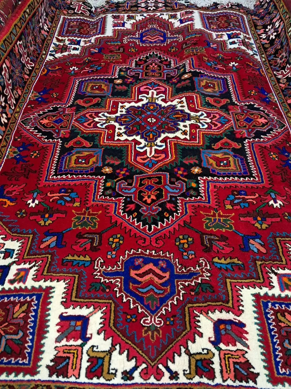 ۶متری|فرش|بناب, |دیوار