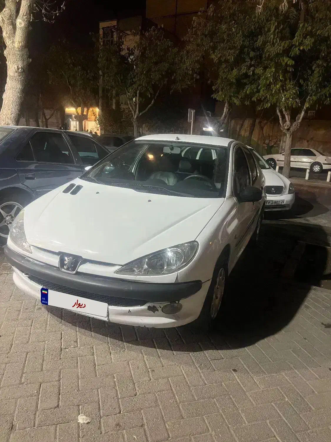 206 sd موتور تیو فایو|خودرو سواری و وانت|مشهد, طلاب|دیوار